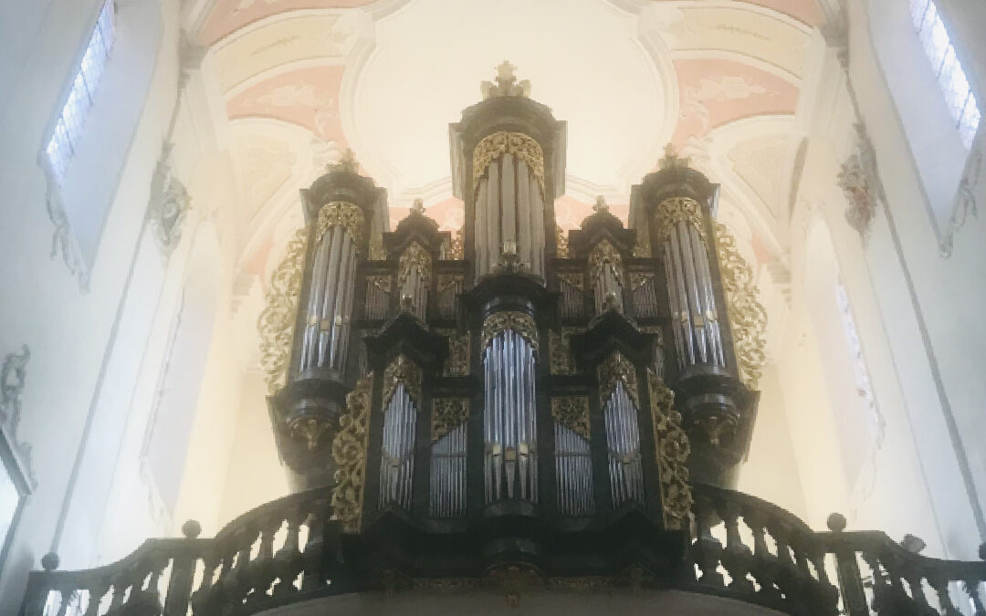 Tanzgebet zu Maria Himmelfahrt